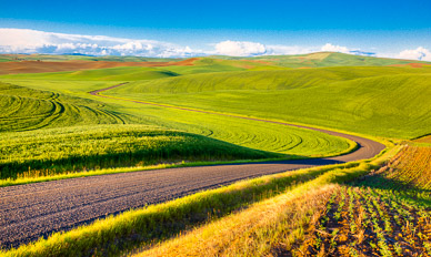 Evening light outside Colfax, The Palouse, Washington