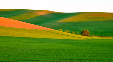 Last light outside Colfax, The Palouse, Washington