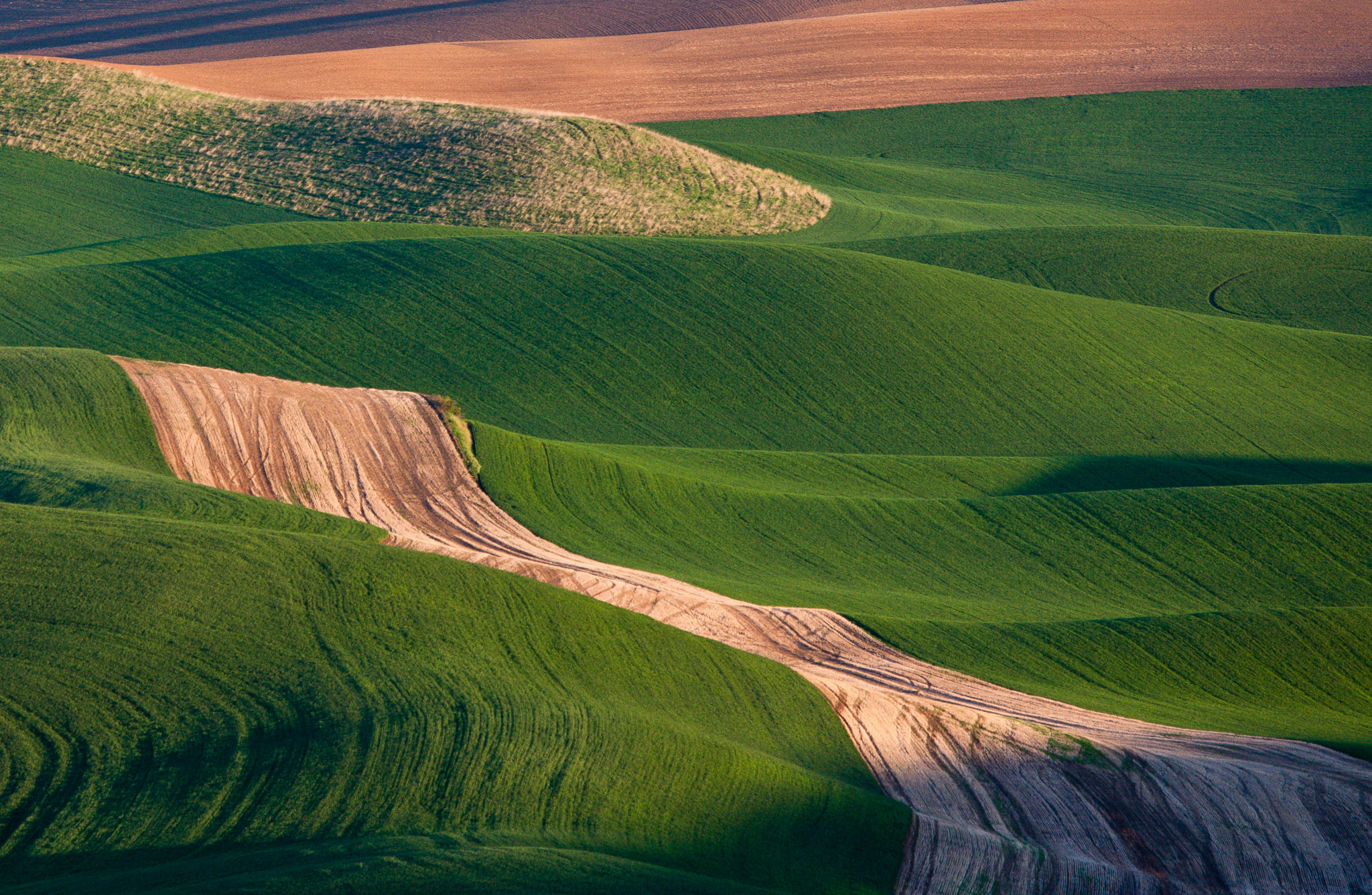 Fields from Steptoe Butte, The Palouse