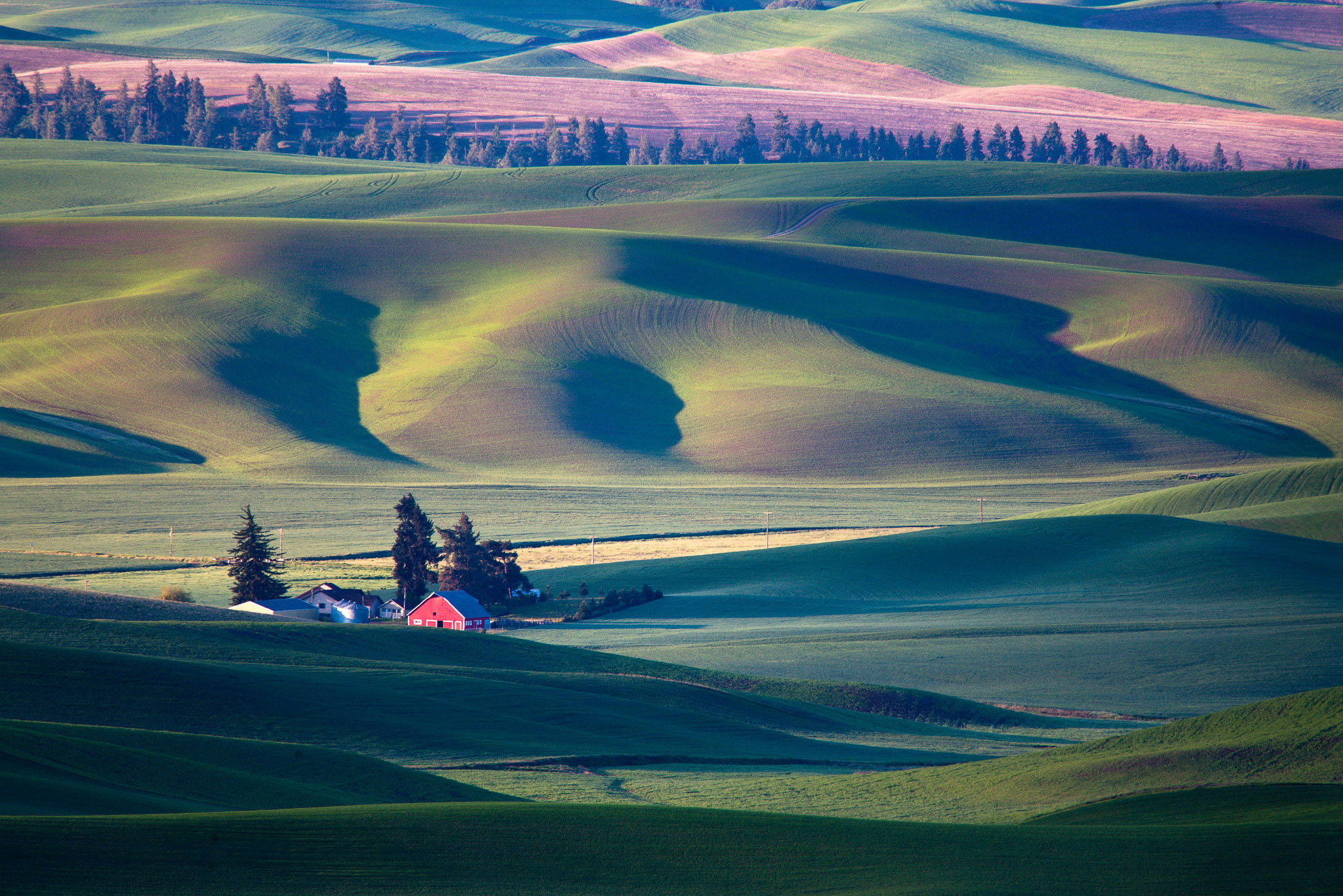 View from Steptoe Butte, The Palouse