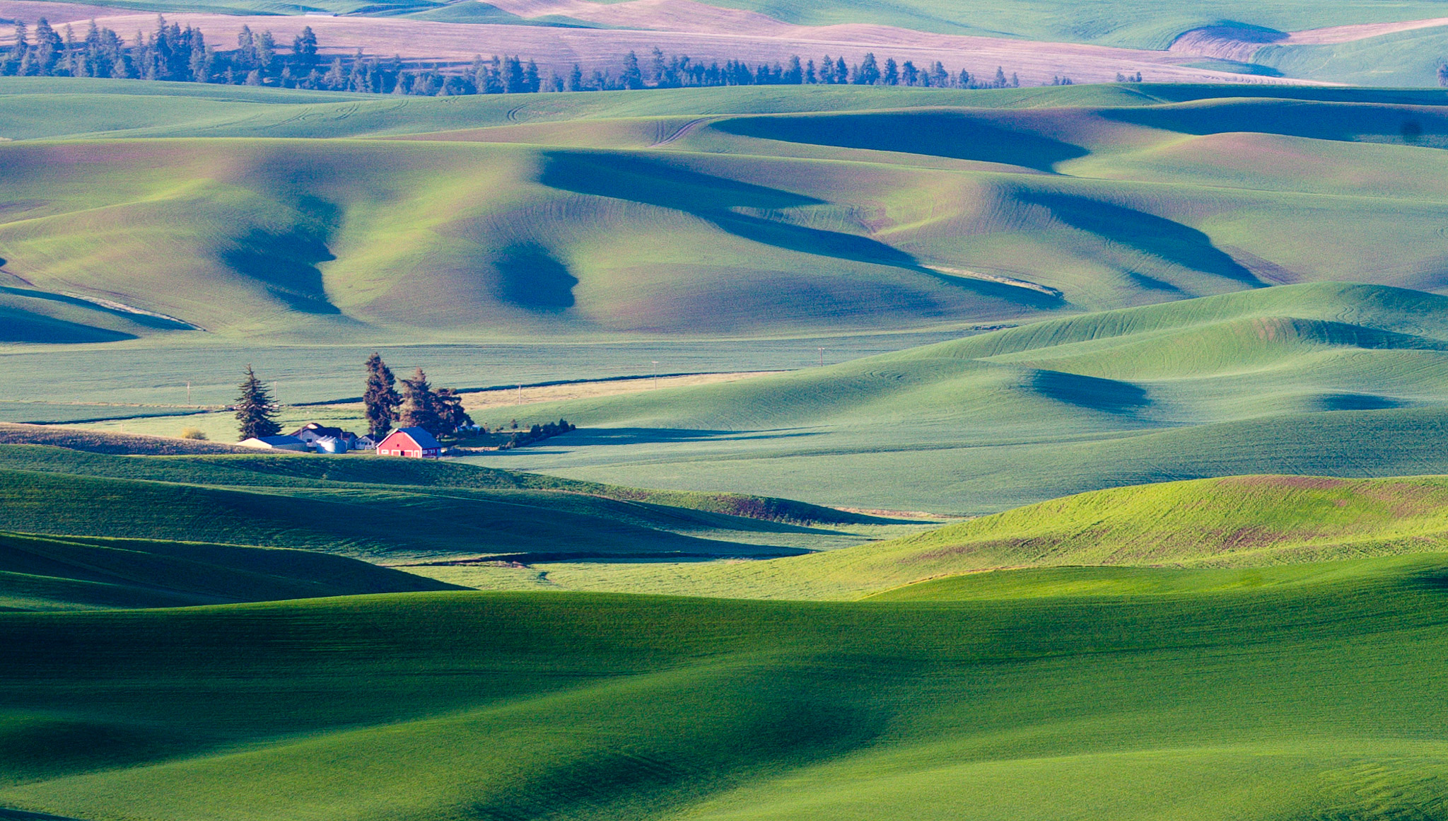 Early morning views from Steptoe Butte, The Palouse