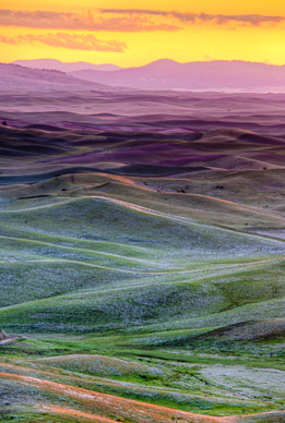 First light from Steptoe Butte, The Palouse