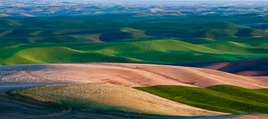 Fields from Steptoe Butte, The Palouse