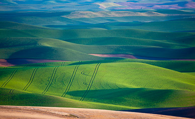Fields from Steptoe Butte, The Palouse