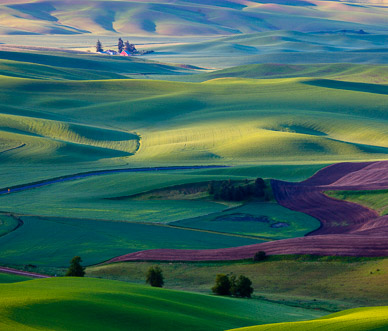 View from Steptoe Butte, The Palouse