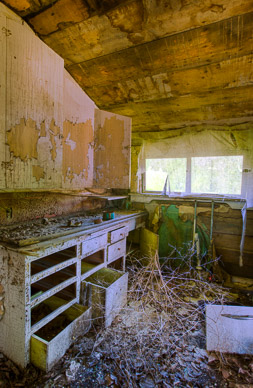 Abandoned house near Dusty, The Palouse, Washington