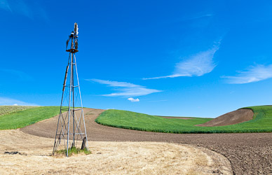 Field near Dusty, The Palouse, Washington