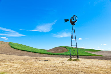 Field near Dusty, The Palouse, Washington