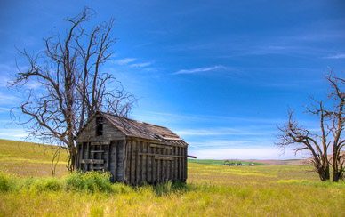 Abandoned shed near Dusty, The Palouse, Washington