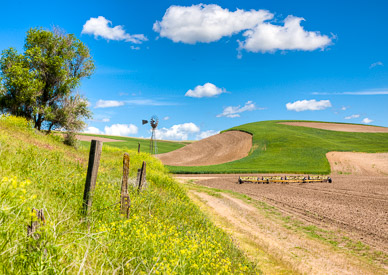 Farm near Dusty, The Palouse, Washington