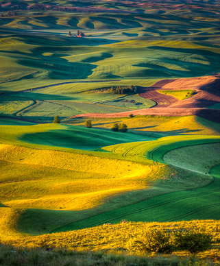 Early light from Steptoe Butte, The Palouse