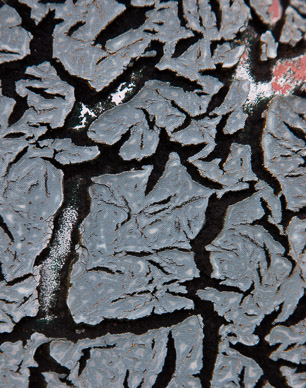 Weathered car top near Garfield, The Palouse, Washington