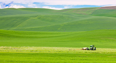 Farm near Karmiak Butte, The Palouse