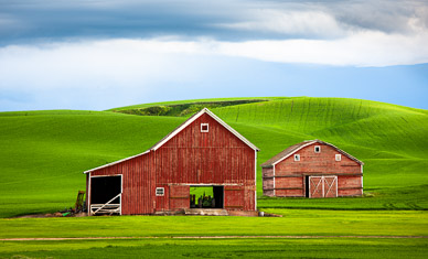 Barns near Rosalia, Washington