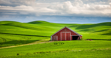 Barns near Rosalia, Washington