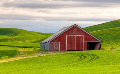 Barn near Rosalia, The Palouse, Washington