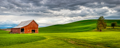 Barn near Rosalia, The Palouse, Washington