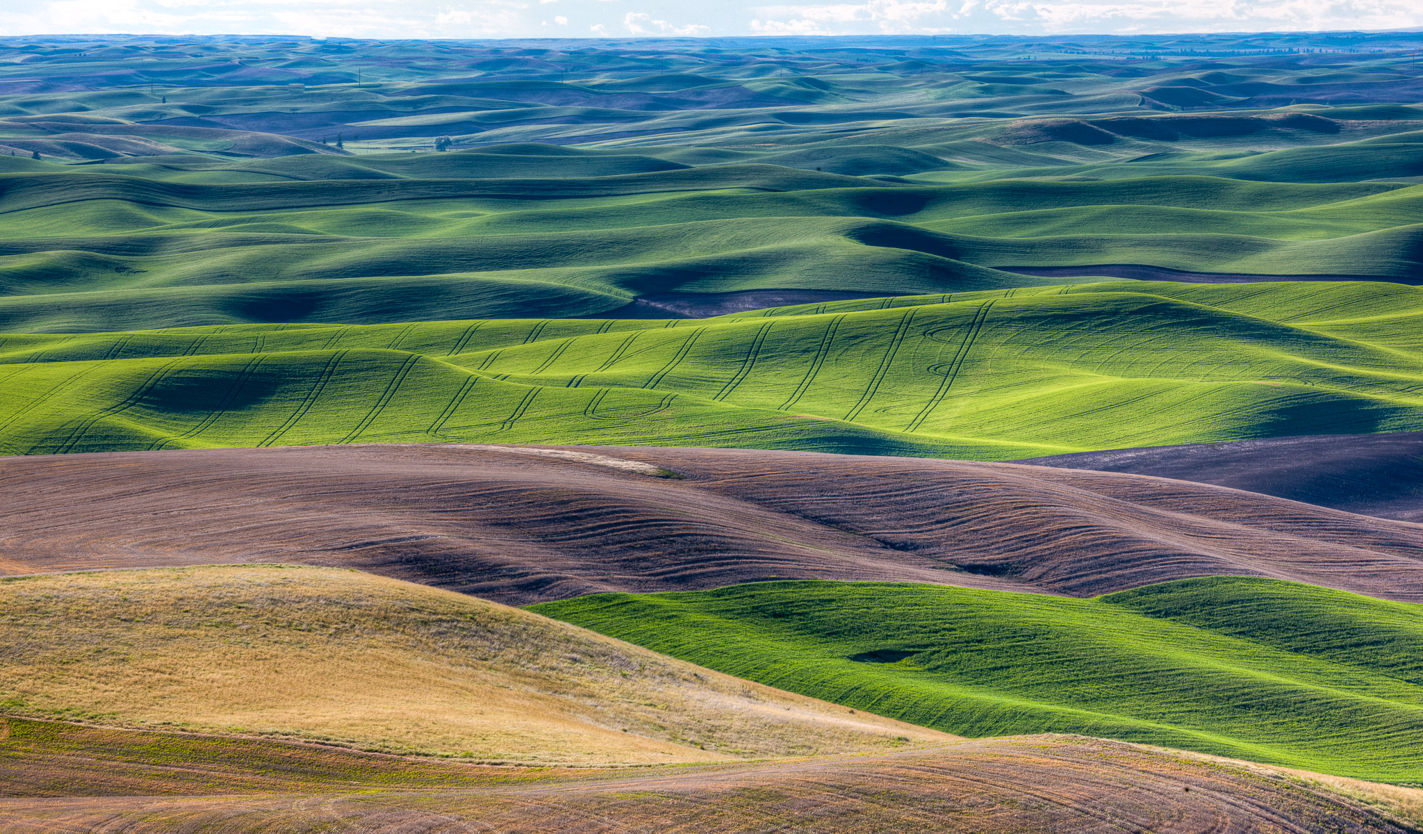 Late light from Steptoe Butte, The Palouse