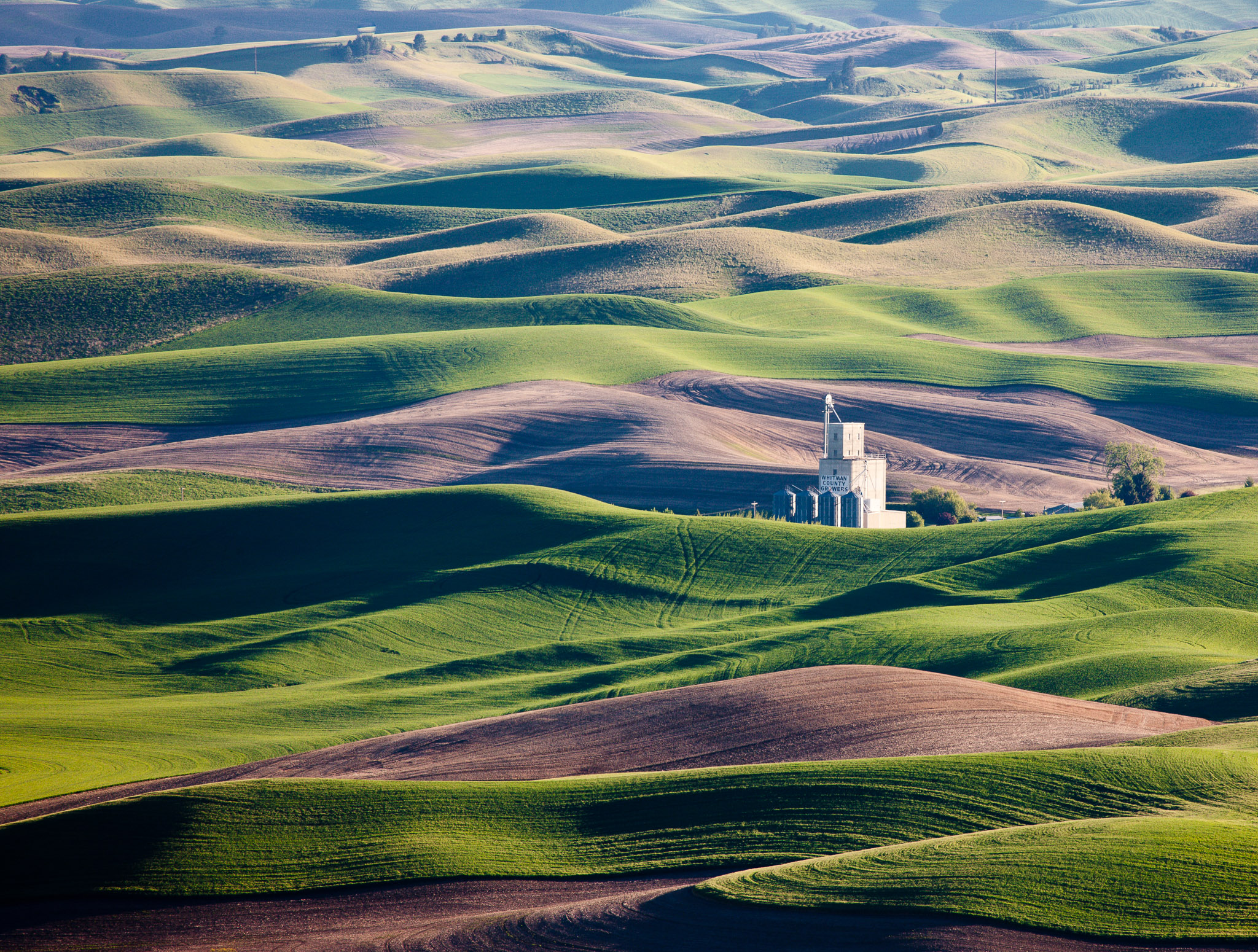 Late light from Steptoe Butte, The Palouse