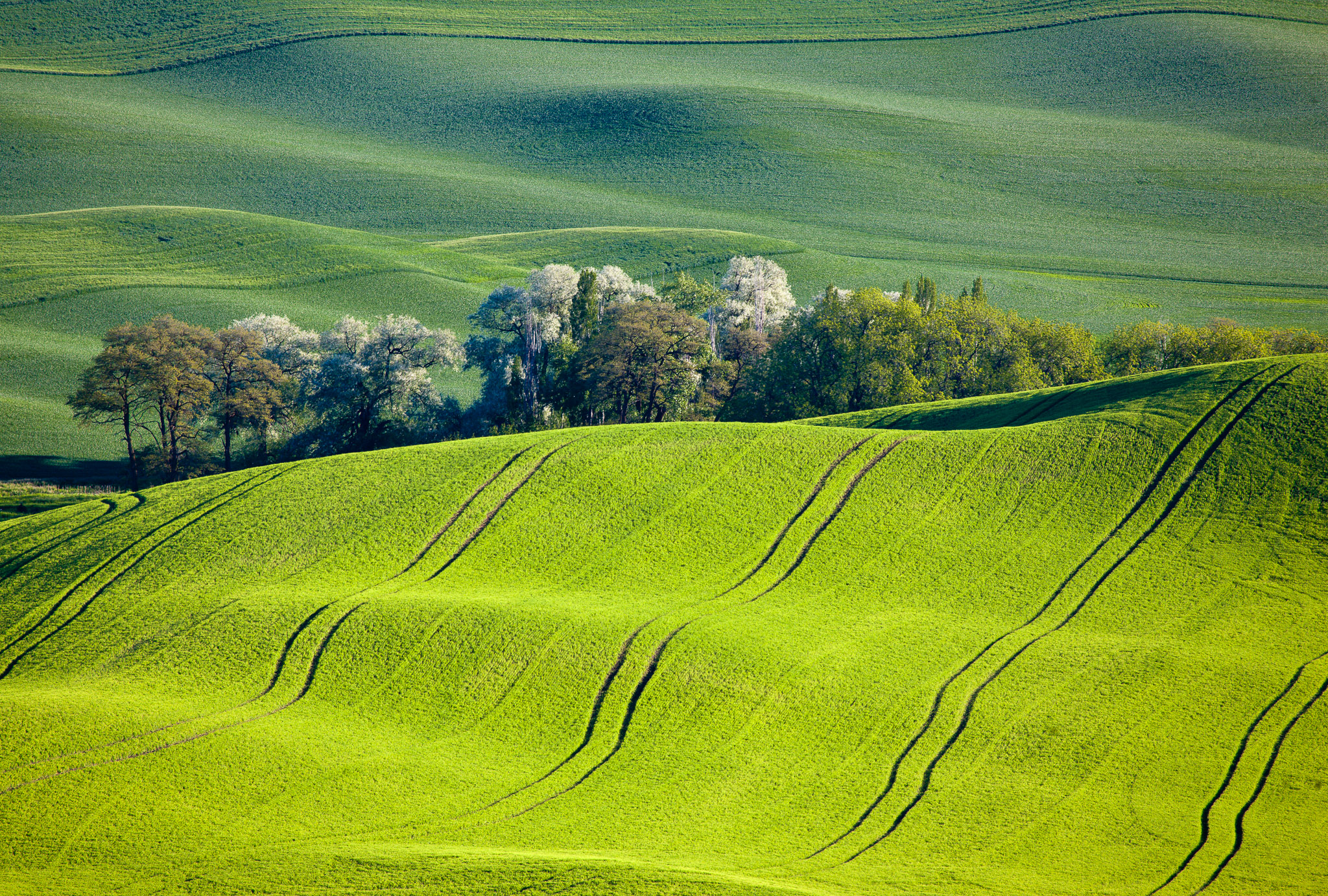 Late light from Steptoe Butte, The Palouse
