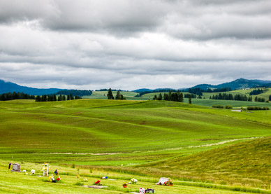 Freeze Cemetery north of Potlatch, The Palouse, Idaho