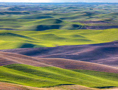 Late light from Steptoe Butte, The Palouse