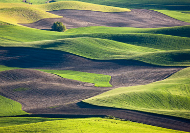 Late light from Steptoe Butte, The Palouse