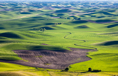 Late light from Steptoe Butte, The Palouse