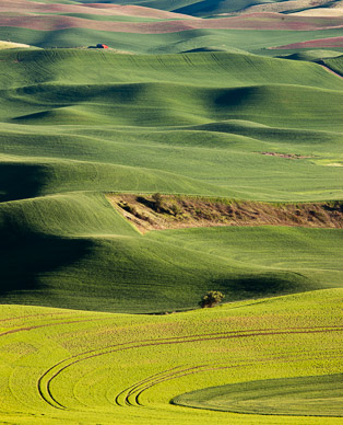 Late light from Steptoe Butte, The Palouse