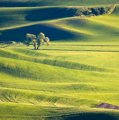 Late light from Steptoe Butte