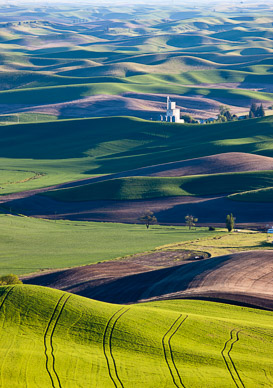 Late light from Steptoe Butte, The Palouse
