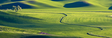 Late light from Steptoe Butte, The Palouse