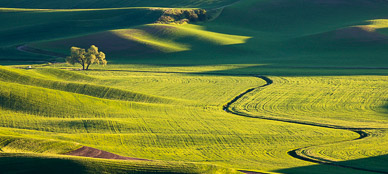 Late light from Steptoe Butte, The Palouse