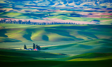 View from Steptoe Butte, The Palouse