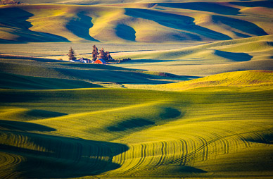 Early light from Steptoe Butte, The Palouse