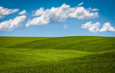 Sights south of Palouse, Washington