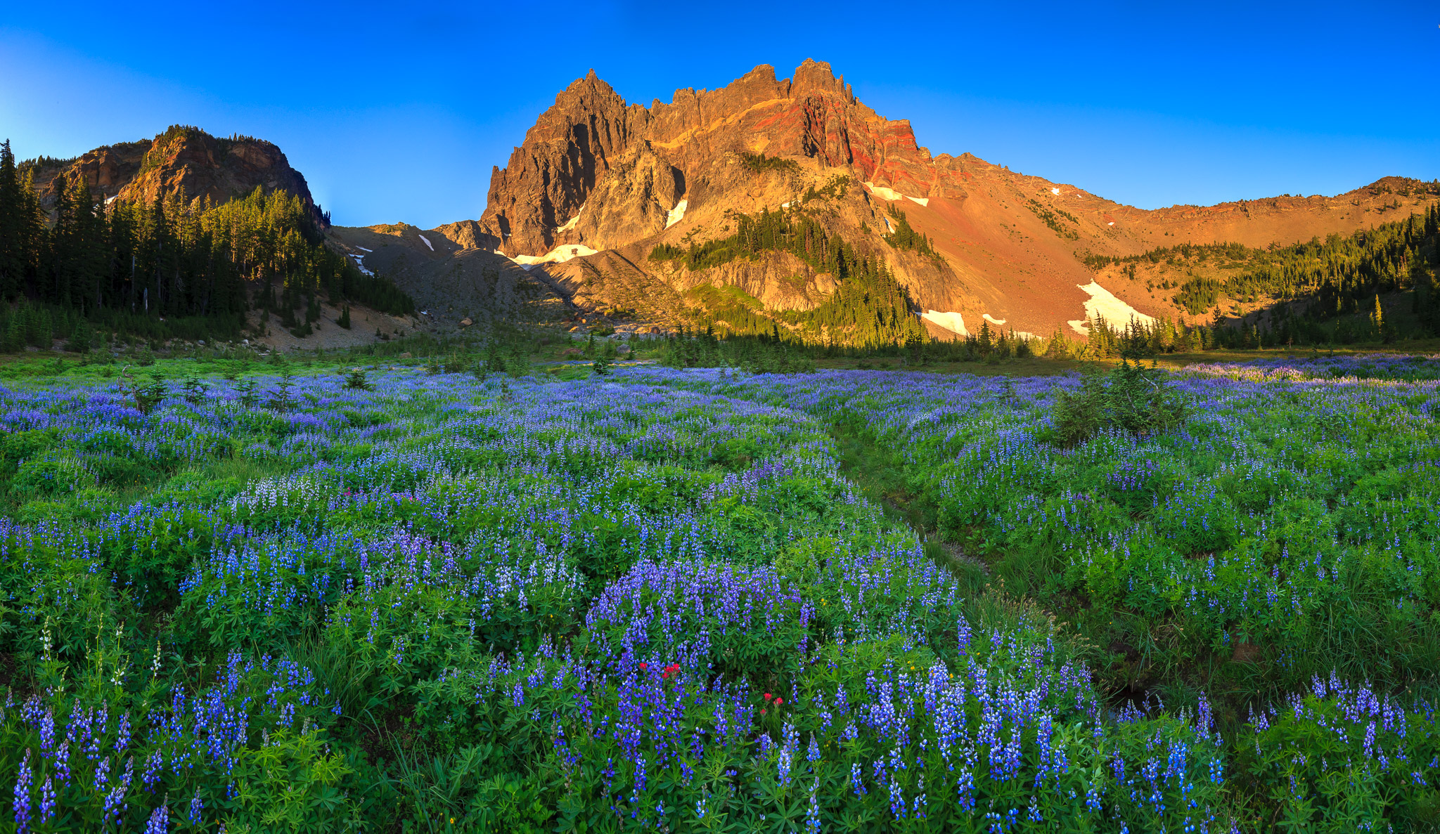 Early Morning at Upper Canyon Creek Meadows
