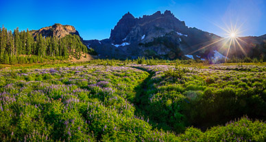 Late Afternoon in Upper Canyon Creek Meadows