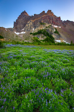 Late light on Upper Canyon Creek Meadows