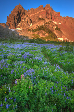 First Light on Three Fingered Jack