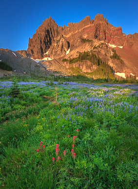 Early Morning at Upper Canyon Creek Meadows