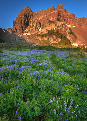 Oregon Cascades Oregon Cascades