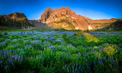 Early Morning at Upper Canyon Creek Meadows