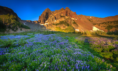 Early Morning at Upper Canyon Creek Meadows