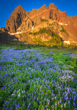 Early Morning at Upper Canyon Creek Meadows