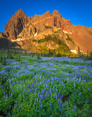 Early Morning at Upper Canyon Creek Meadows