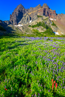 Morning at Upper Canyon Creek Meadows