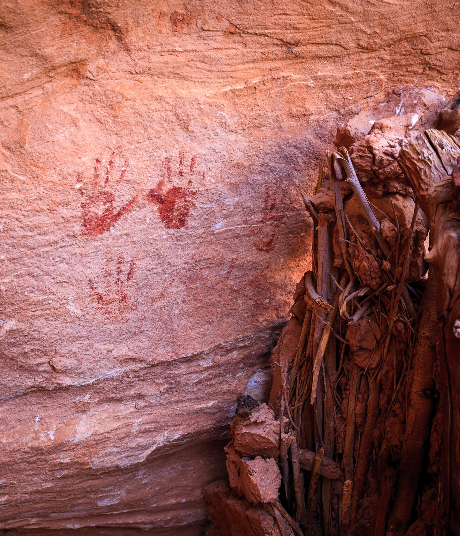Hand pictographs at Lion Track Ruins