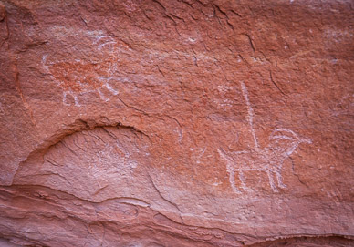 Petroglyphs at Turkey Pen Ruins