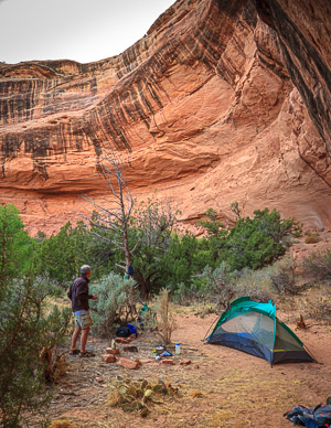 Campsite at Turkey Pen Ruins